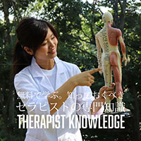セラピストの専門知識